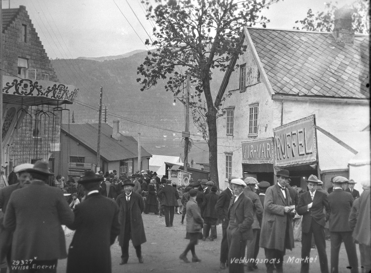 Anders Beer Wilse, Prot: Veblungsnes marked