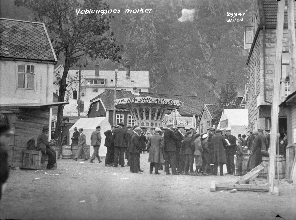 Anders Beer Wilse, Prot: Veblungsnes market
