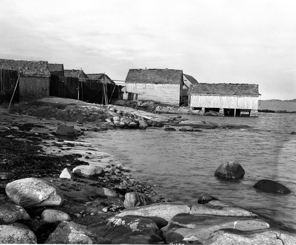 Anders Beer Wilse, Prot: Giske, strandparti