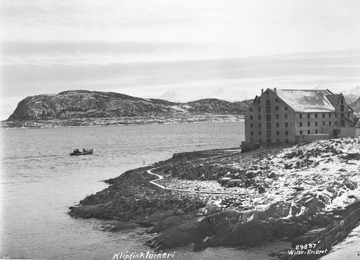 Anders Beer Wilse, Prot: Aalesund, Klipfisktørkeri