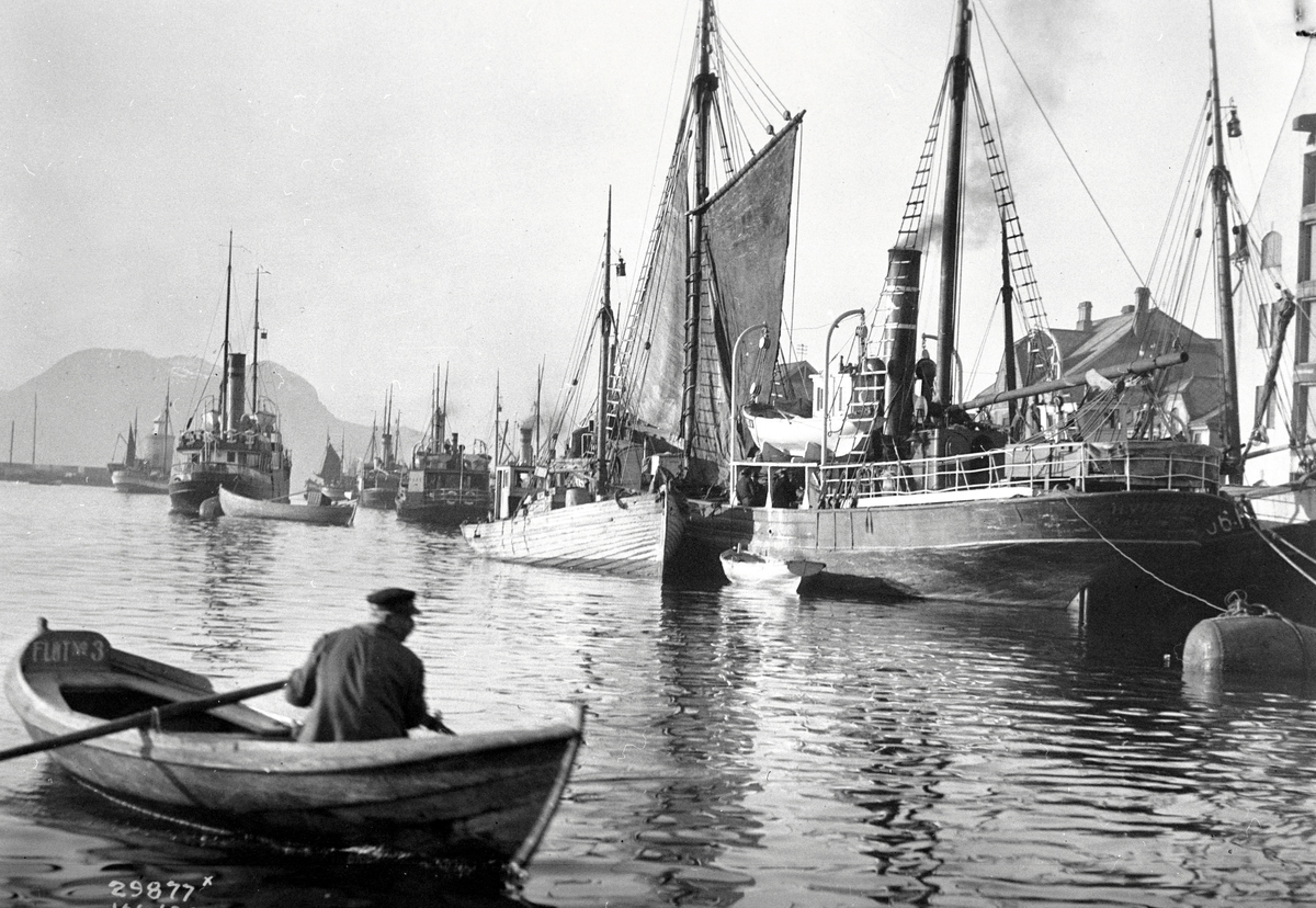 Anders Beer Wilse, Prot: Aalesunds havn