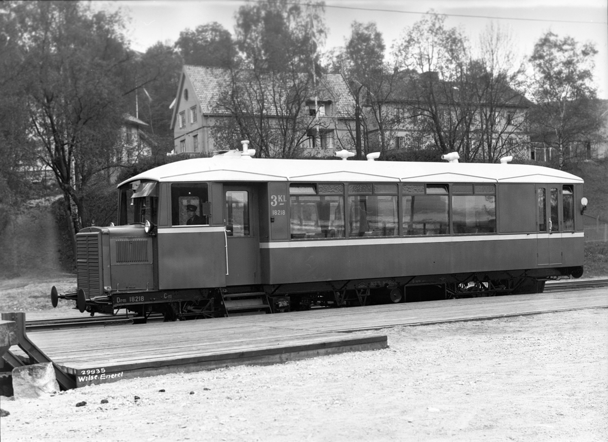 Anders Beer Wilse, Prot: Omnibusvogn