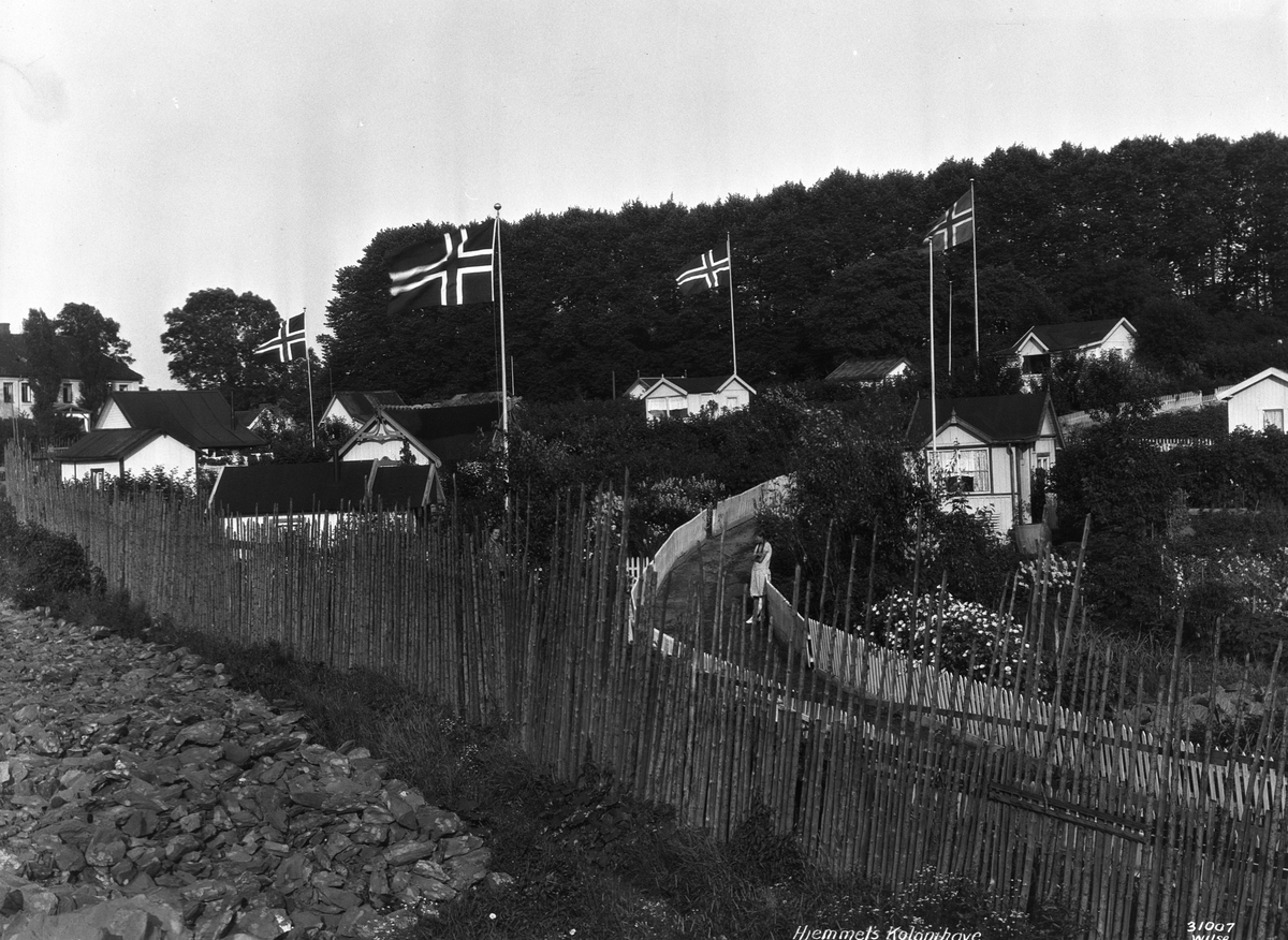 Anders Beer Wilse, Prot: Kolonihave, Hjemmets - panorama