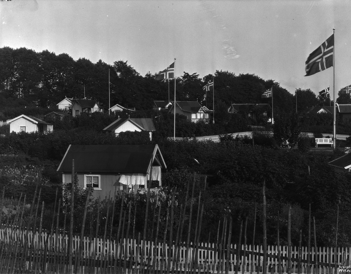 Anders Beer Wilse, Prot: Kolonihave, Hjemmets - panorama