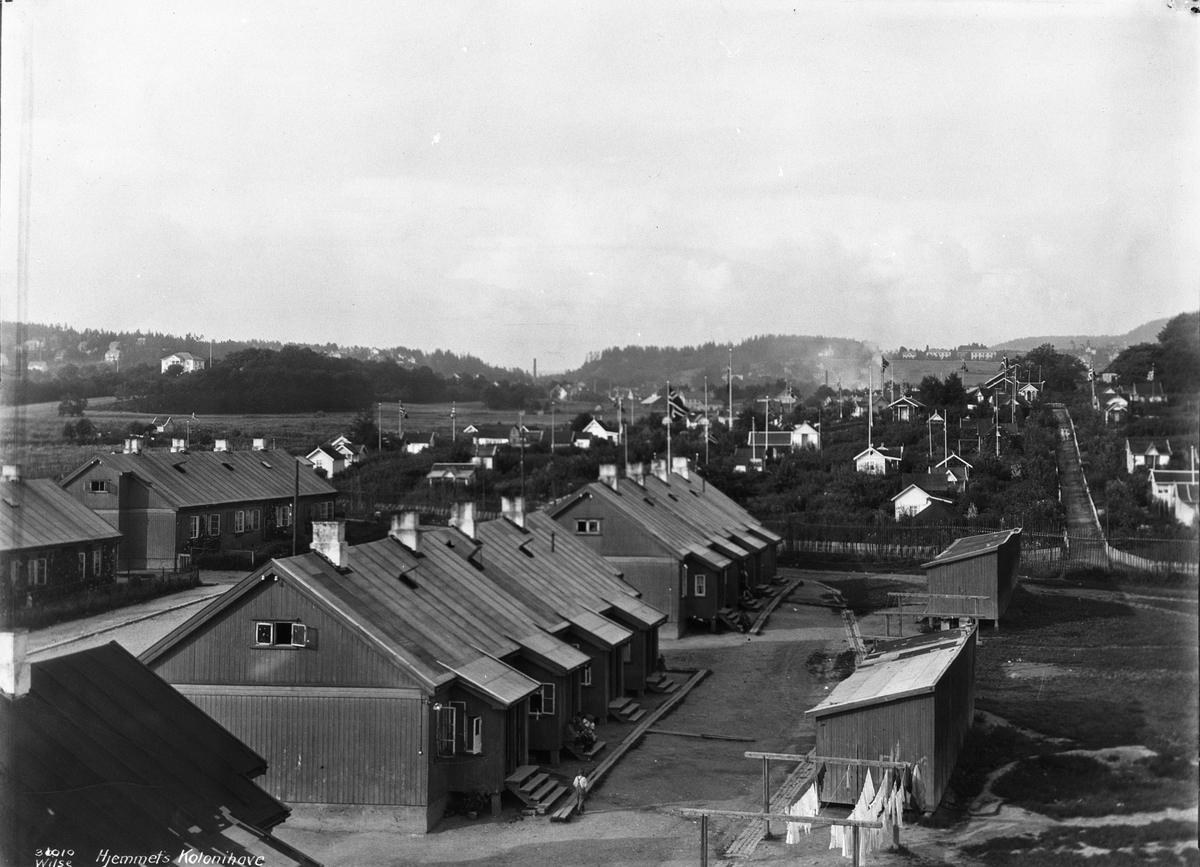 Anders Beer Wilse, Prot: Kolonihave, Hjemmets - panorama