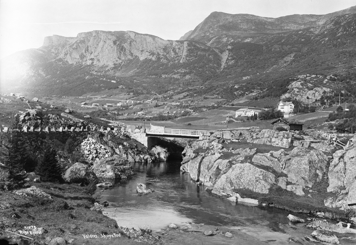Anders Beer Wilse, Prot: Valdres Skogstad