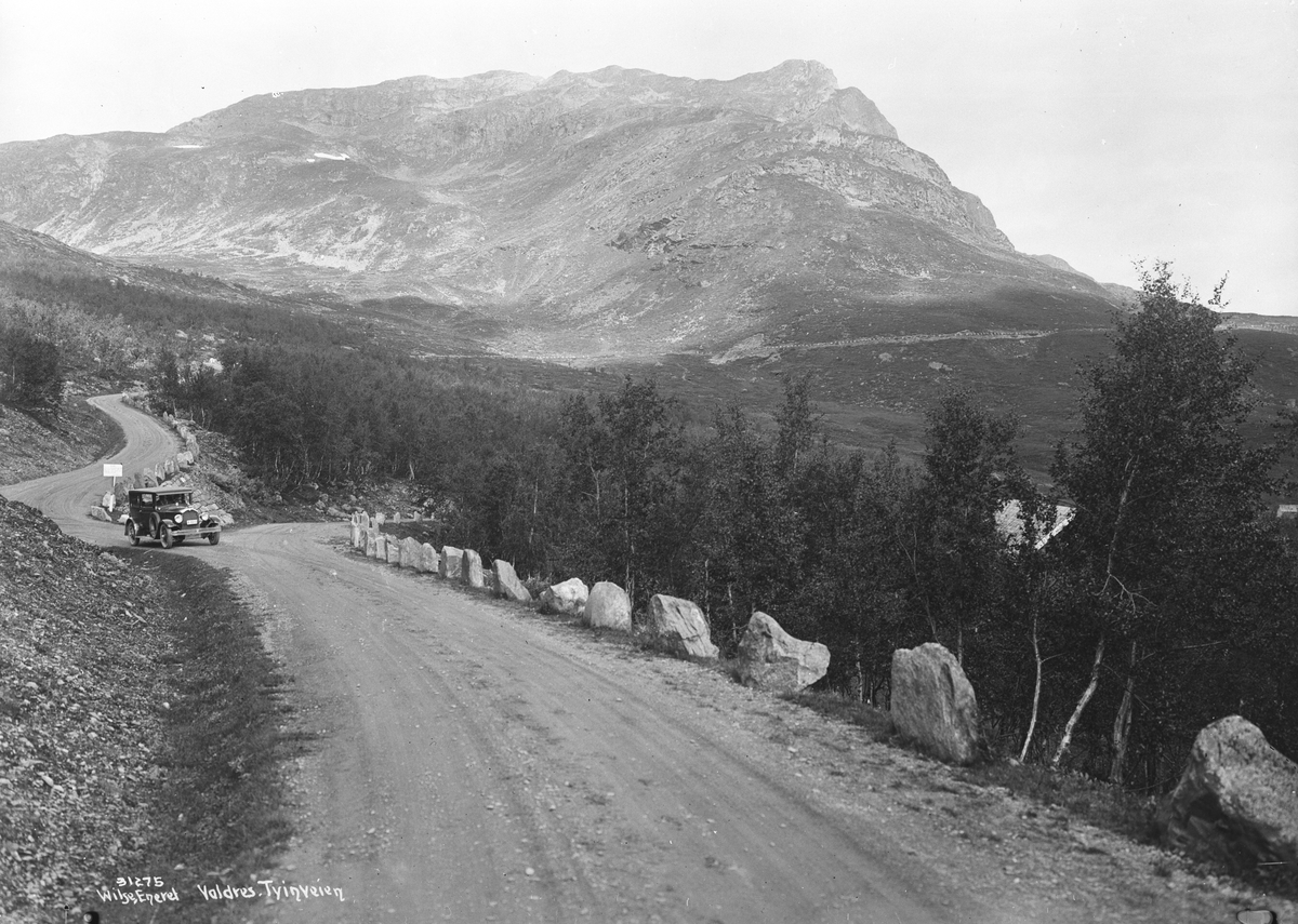 Anders Beer Wilse, Prot: Valdres Tyinveien