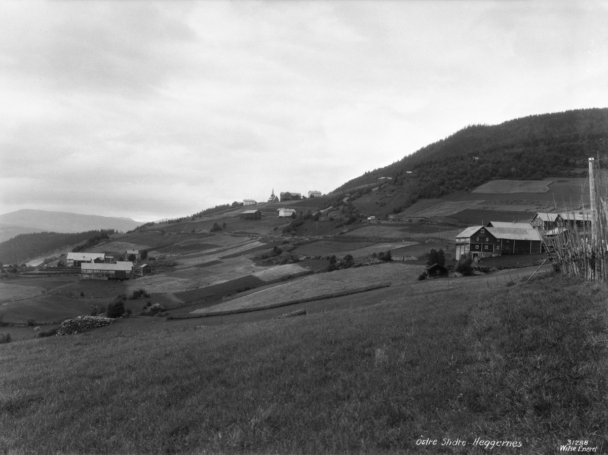 Anders Beer Wilse, Prot: Valdres, Østre Slidre, ved Heggenes