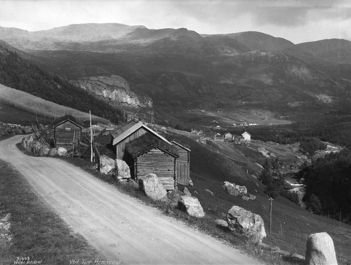 Anders Beer Wilse, Prot: Hemsedal - Hallingdal, mot Tuv