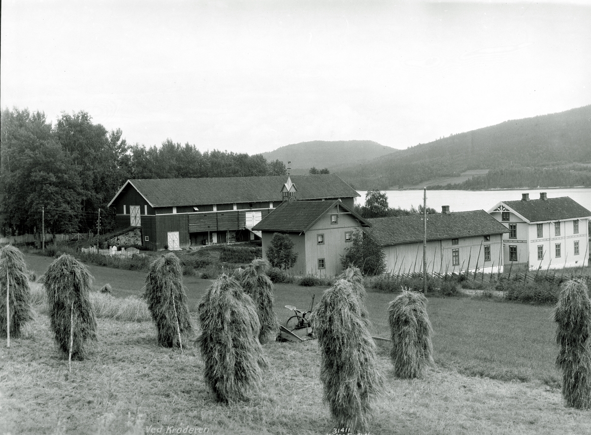 Anders Beer Wilse, Prot: Hemsedal - Hallingdal, Krøderen, gaard