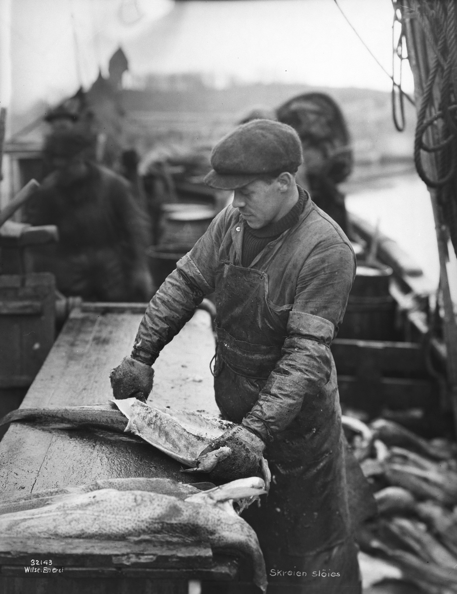 Anders Beer Wilse, Prot: Lofotfisket. Fisken sløies Neg: Skreien sløies