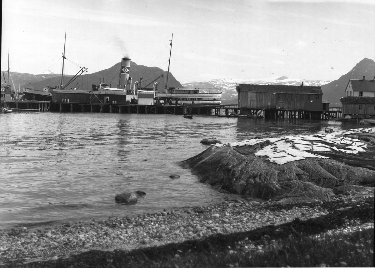Anders Beer Wilse, Prot: Nordland, Indre Kvarøy