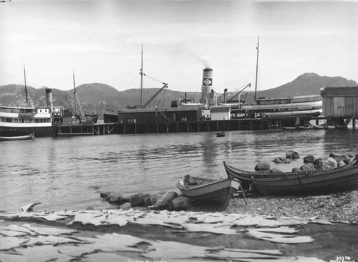 Anders Beer Wilse, Prot: Nordland, Indre Kvarøy