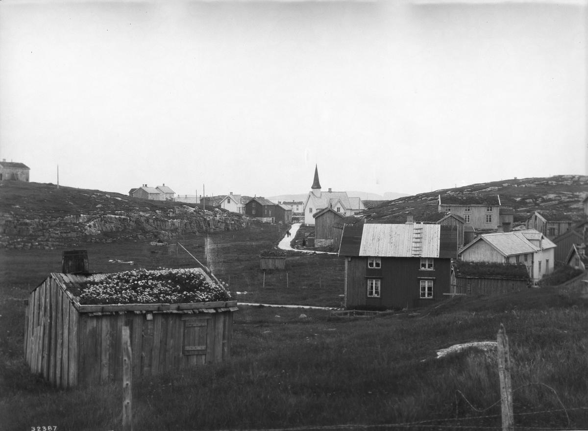 Anders Beer Wilse, Prot: Nordland, Træna