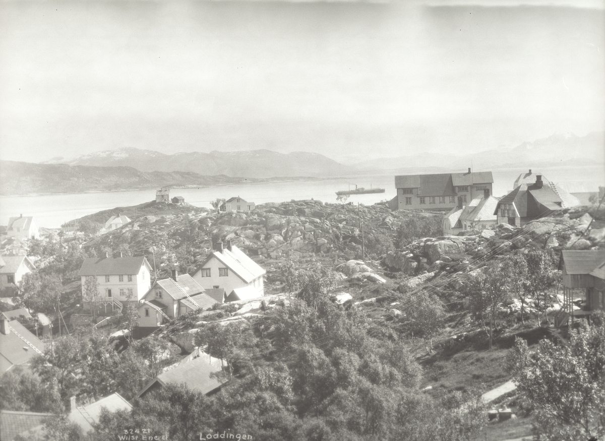 Anders Beer Wilse, Prot: Nordland, Lødingen