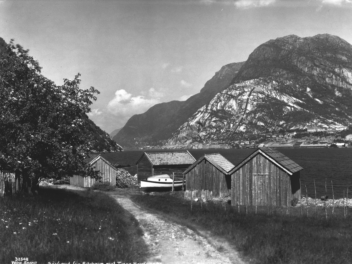 Anders Beer Wilse, Prot: Hardanger - Sørfjorden fra Eiterheim mot Tysse