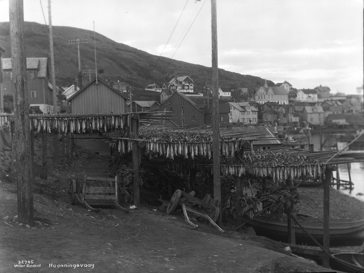 Anders Beer Wilse, Prot: Nordland - Honningsvaag