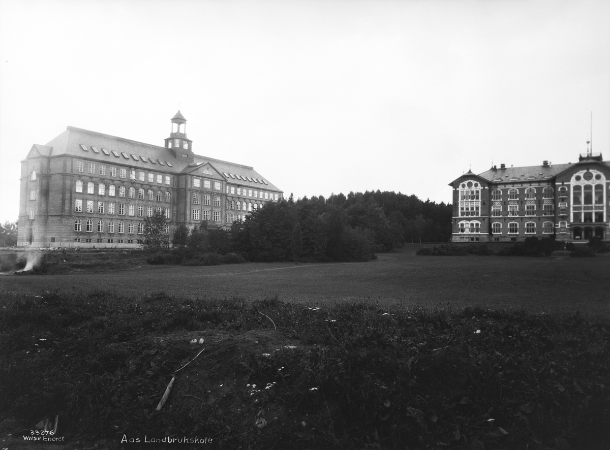 Anders Beer Wilse, Konv: Aas landbrukskole