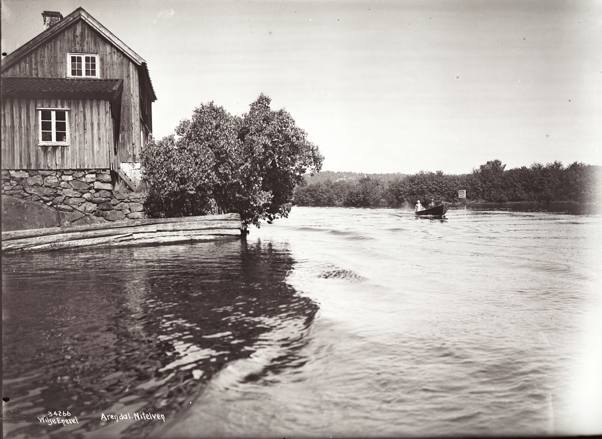 Anders Beer Wilse, Prot: Arendal Nitelven