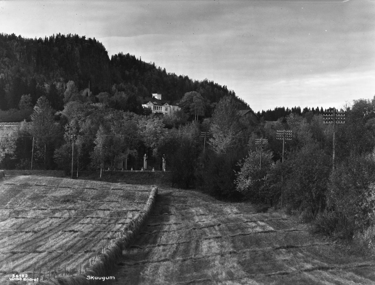 Anders Beer Wilse, Prot: Oslo, omegn - Skaugum