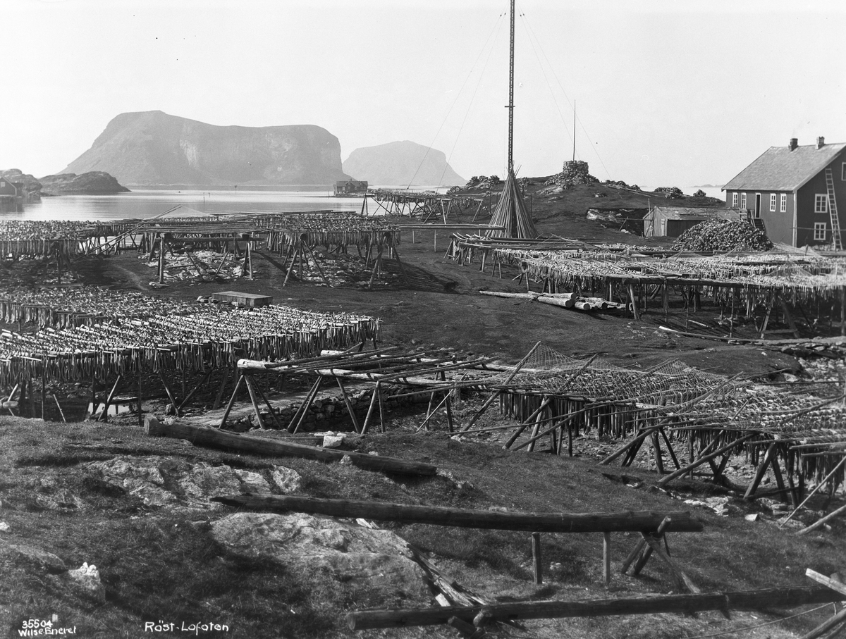 Anders Beer Wilse, Prot: Røst