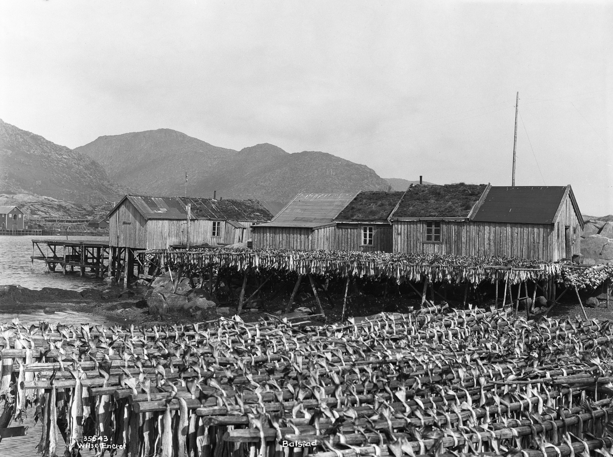Anders Beer Wilse, Prot: Balstad, rorboder