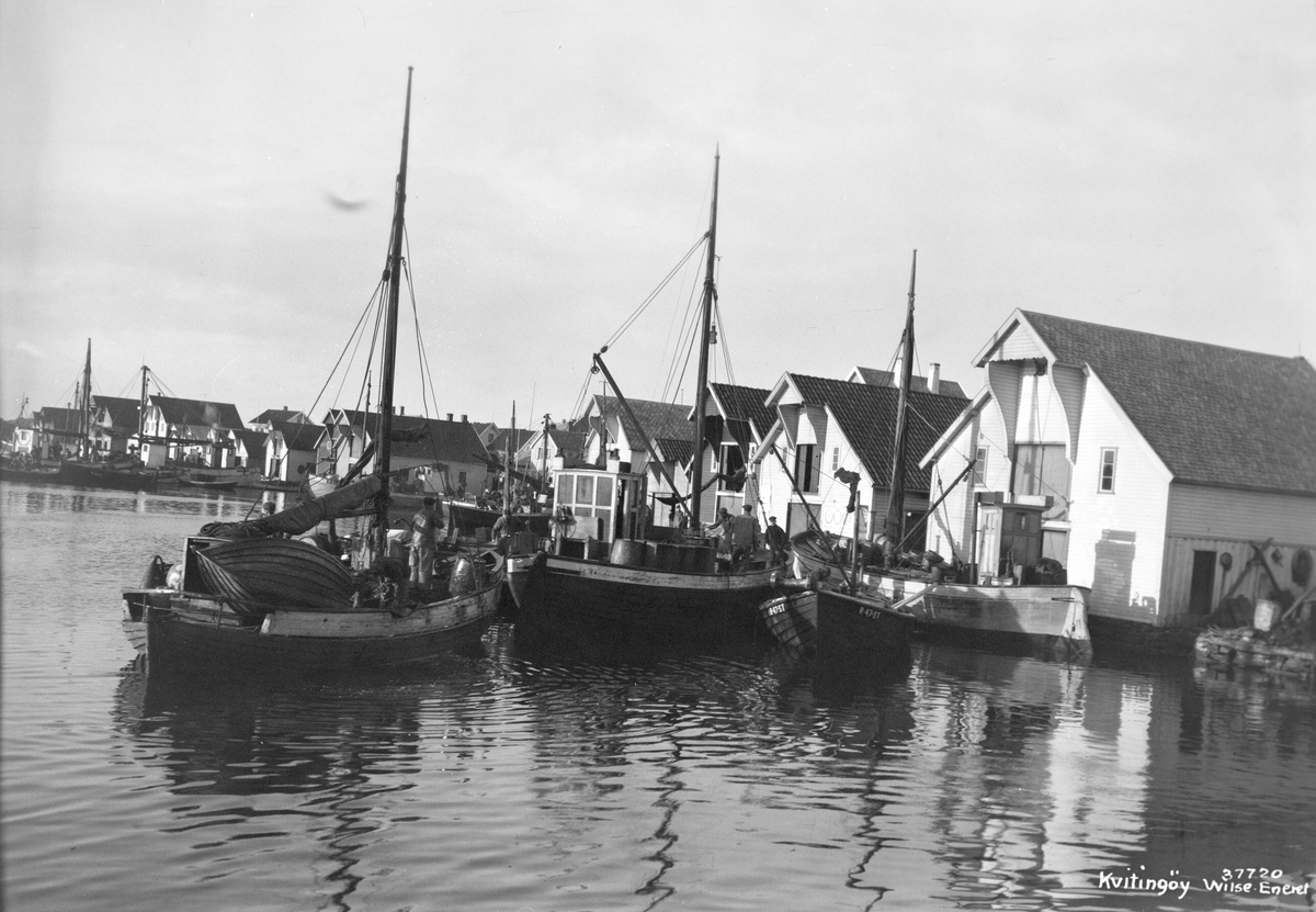 Anders Beer Wilse, Prot: Kvitingøy