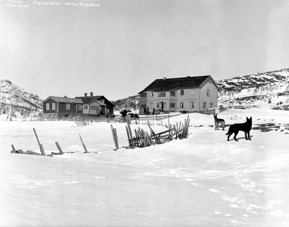 Anders Beer Wilse, "Prot: Mysusæter Konv: Mysusæter Hotel Rondane"