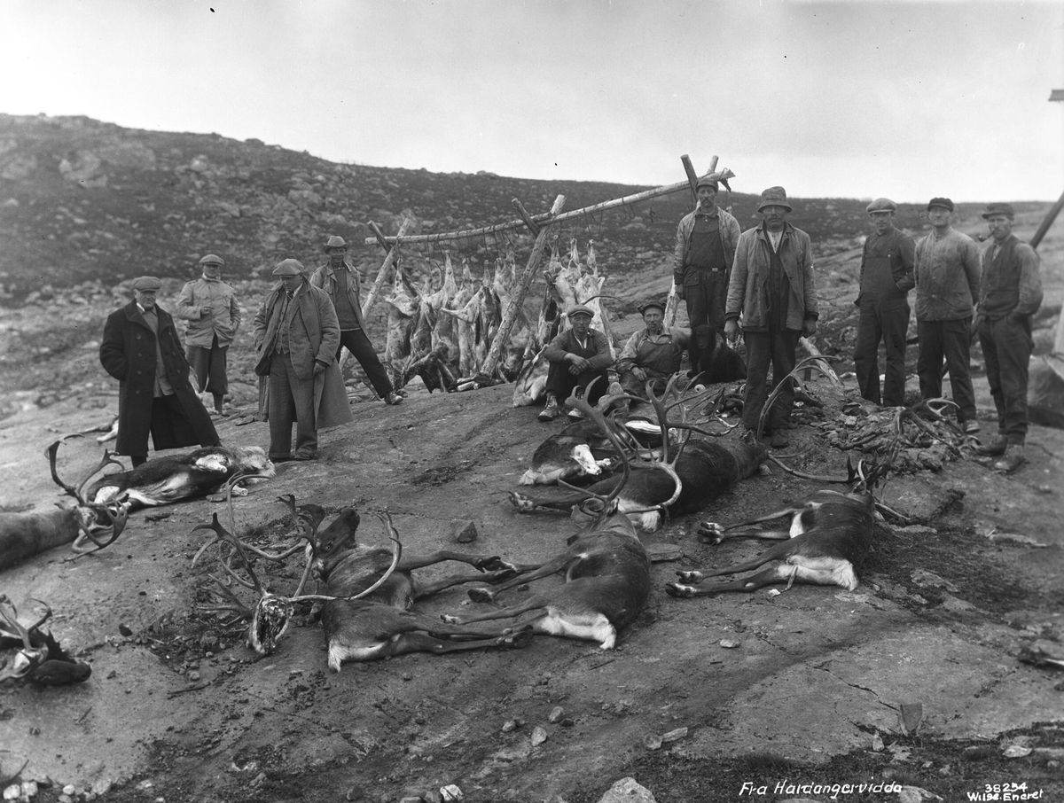 Anders Beer Wilse, Prot: protokoll uleselig Konv: Renslagtning Neg: Fra Hardangervidda