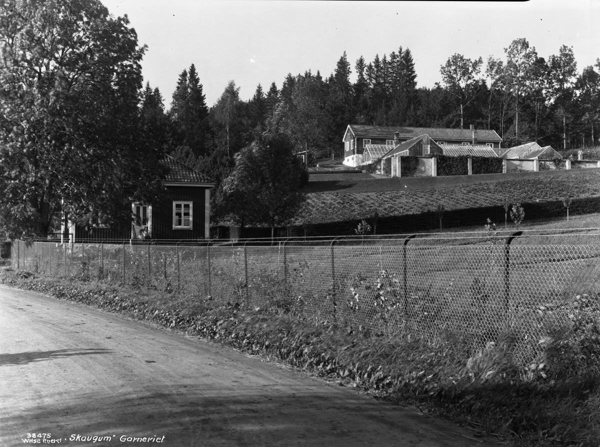 Anders Beer Wilse, Prot: Skaugum gartneriet