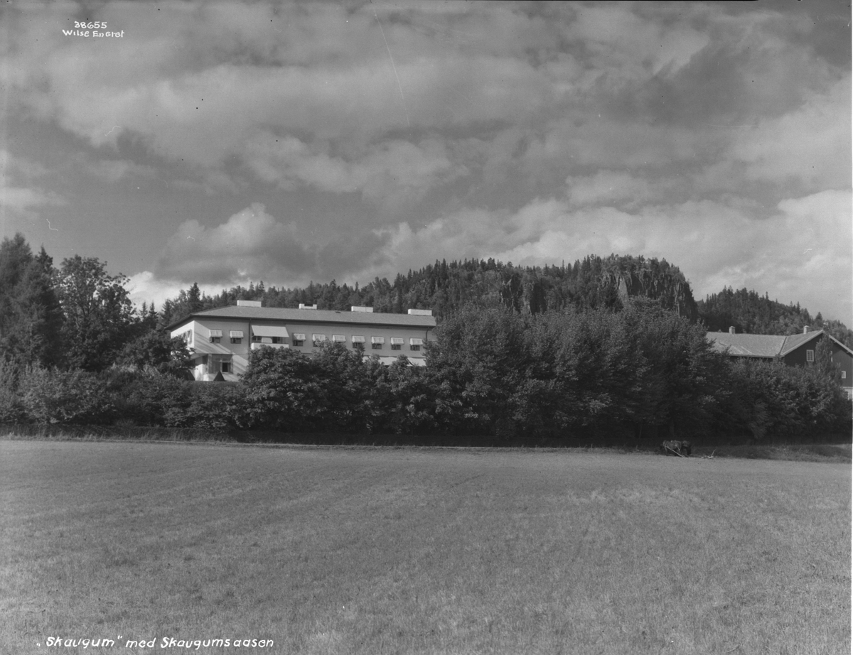 Anders Beer Wilse, Prot: Skaugum huset Neg: ""Skaugum"" med Skaugumsaasen