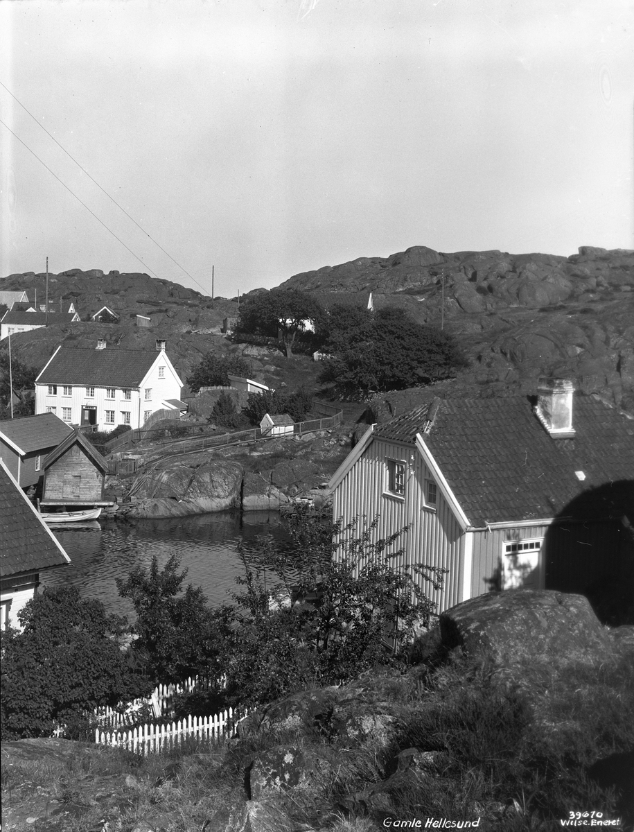 Anders Beer Wilse, Prot: Hellesund gamle