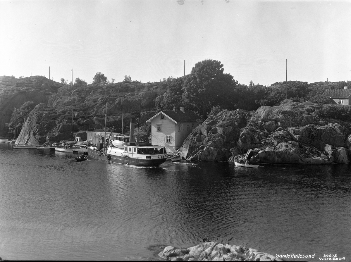 Anders Beer Wilse, Prot: Hellesund gamle