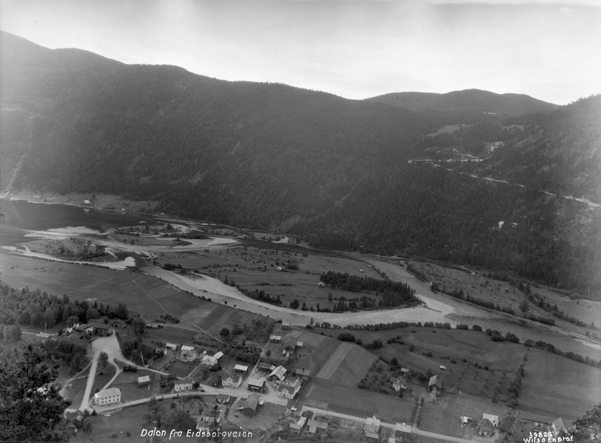 Anders Beer Wilse, Prot: Dalen fra Eidsbergveien