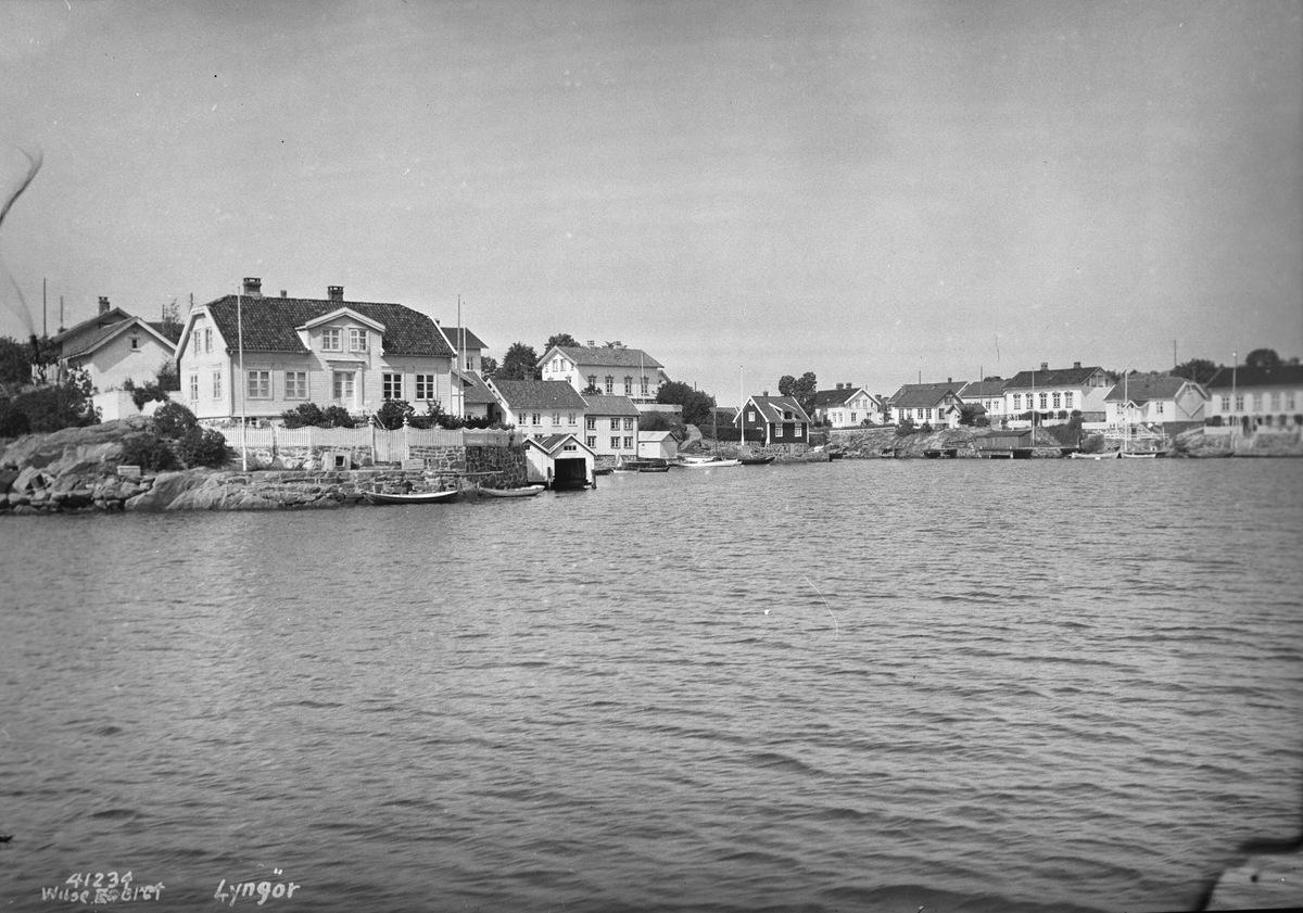 Anders Beer Wilse, Prot: Lyngør
