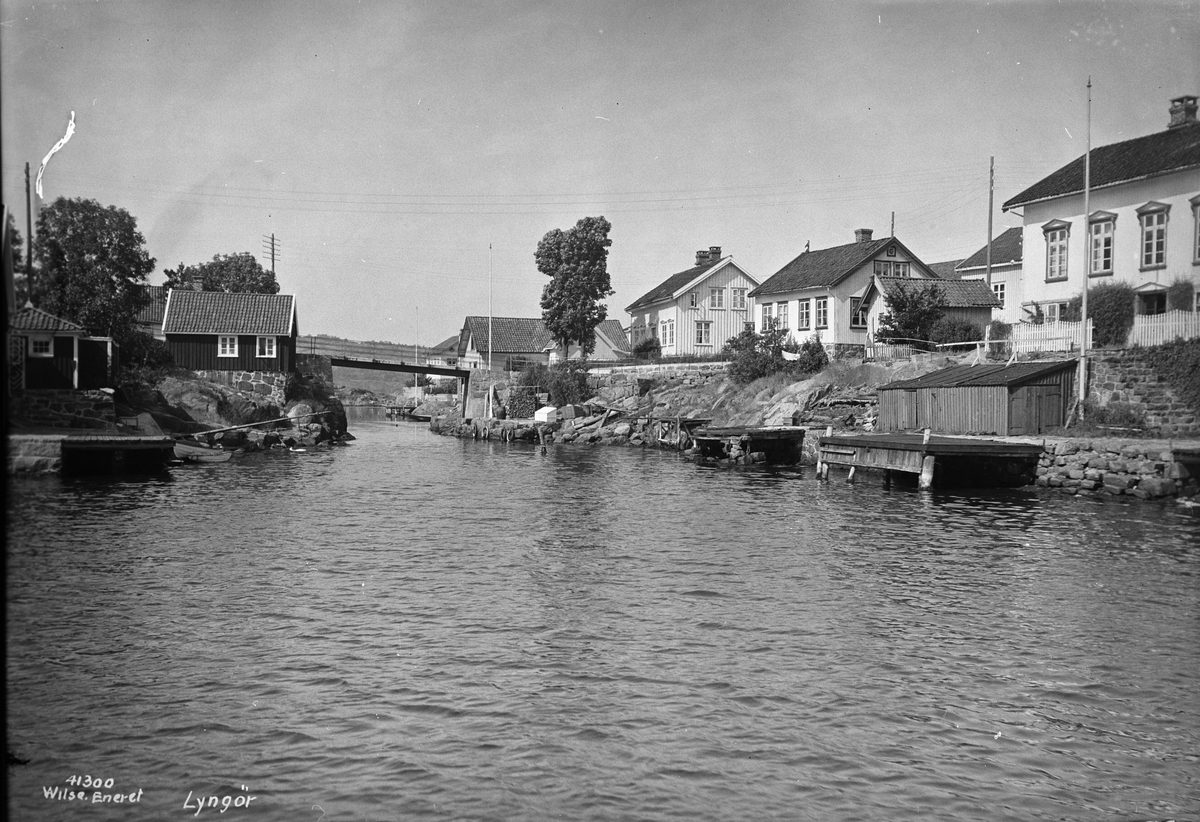 Anders Beer Wilse, Prot: Lyngør