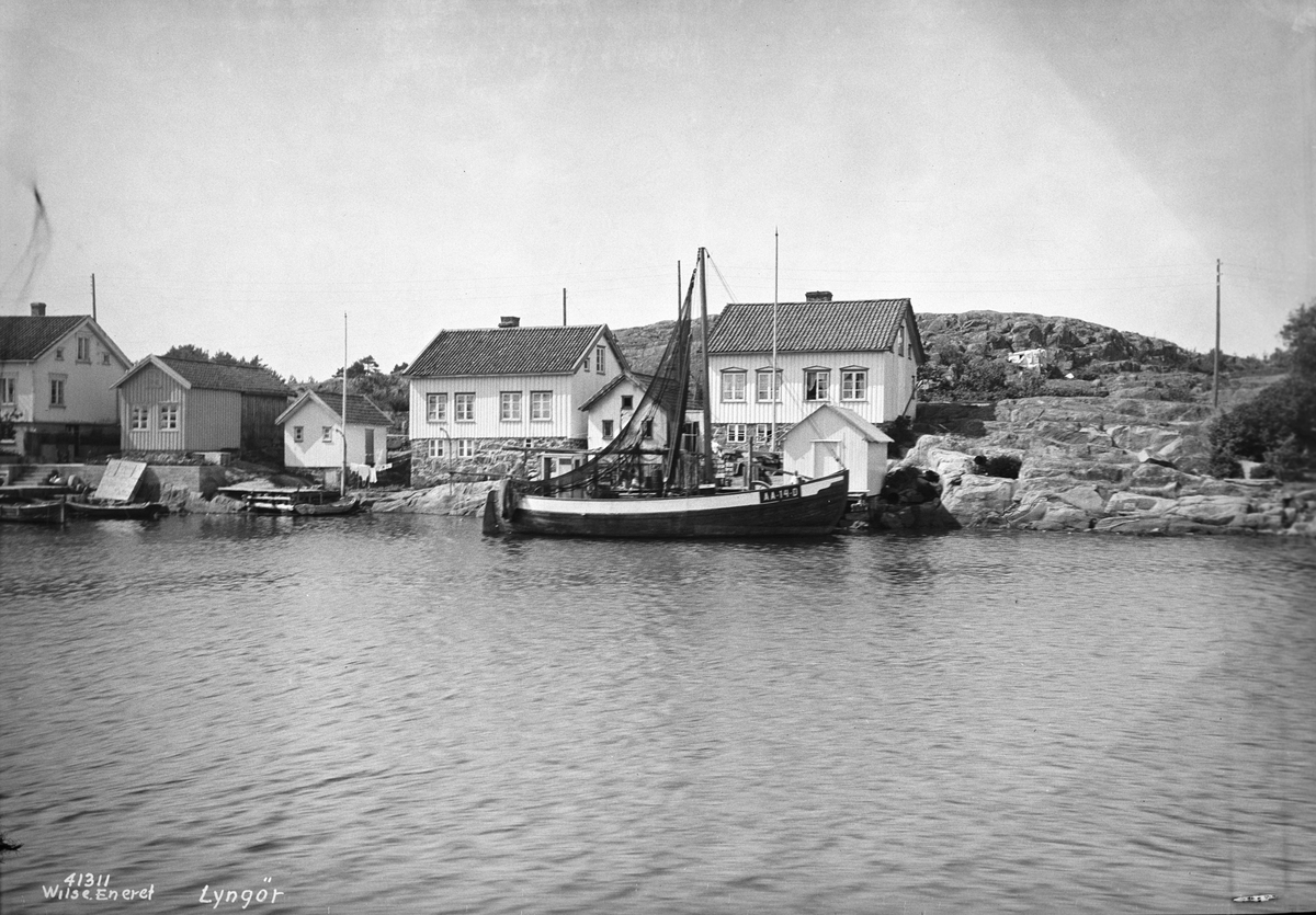 Anders Beer Wilse, Prot: Lyngør