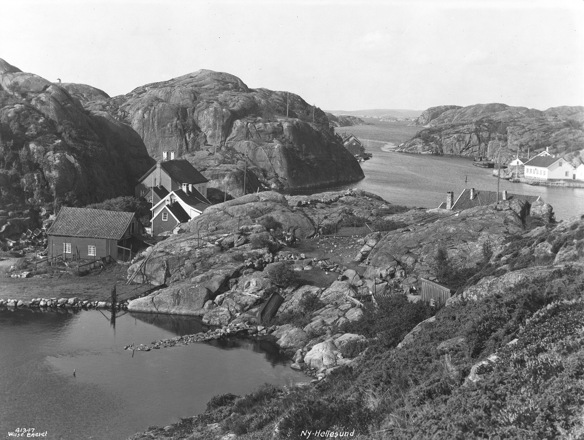 Anders Beer Wilse, Prot: Ny Hellesund Langfelts hus bakfacade