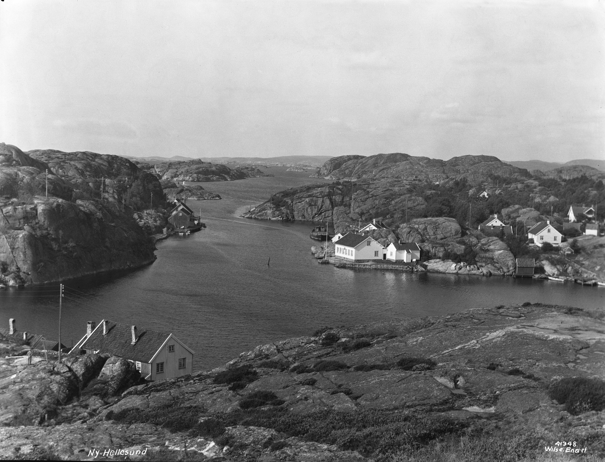 Anders Beer Wilse, Prot: Ny Hellesund sundet