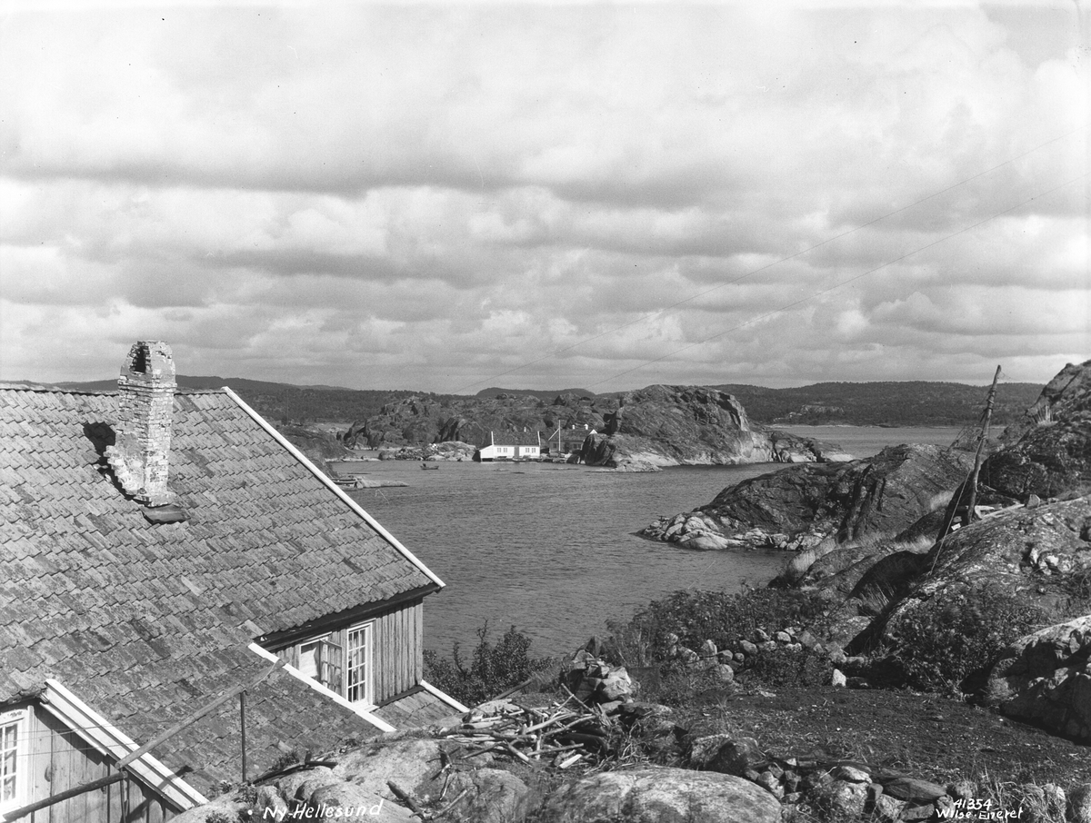 Anders Beer Wilse, Prot: Ny Hellesund mot Pedersens hus