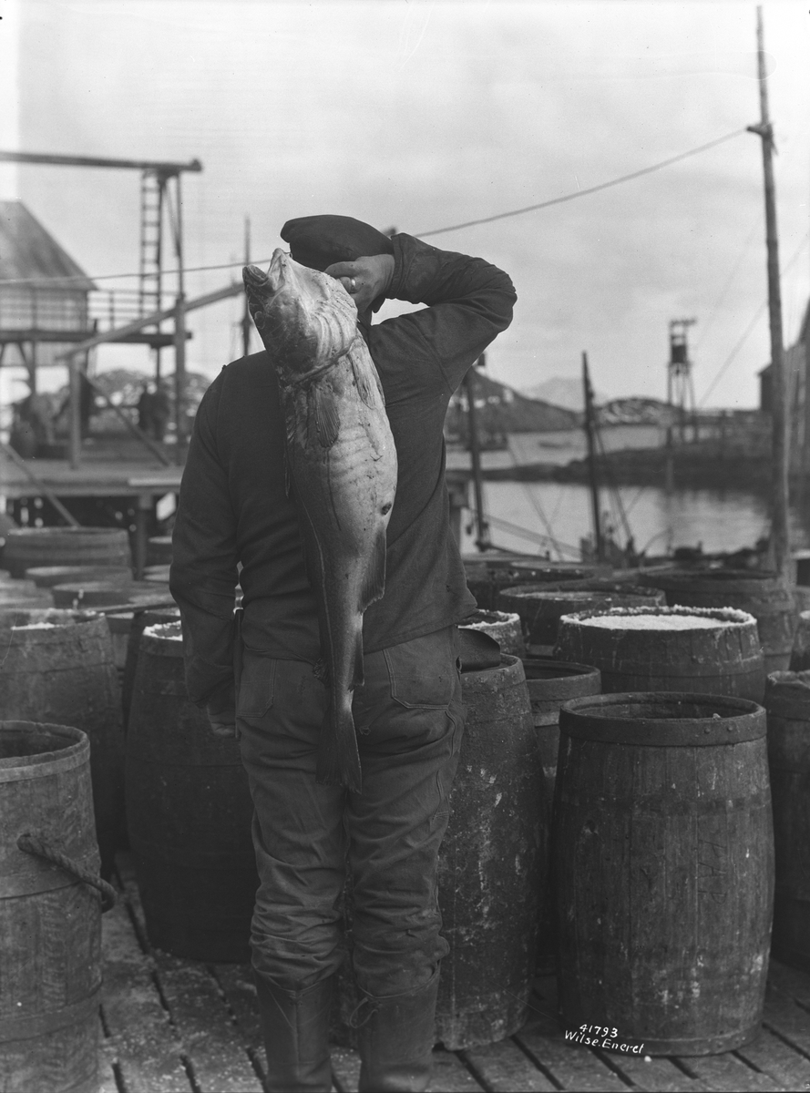 Anders Beer Wilse, Prot: Genre, Fisker