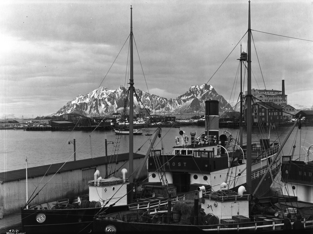 Anders Beer Wilse, Prot: Lofoten, Svolvær bryggeparti Lokalbaatene Vesteraal