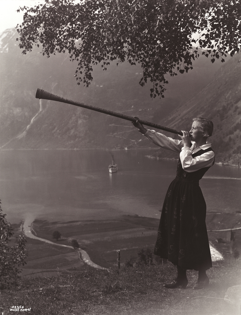 Anders Beer Wilse, Prot: Lurbleser (frk Vinje Anna)