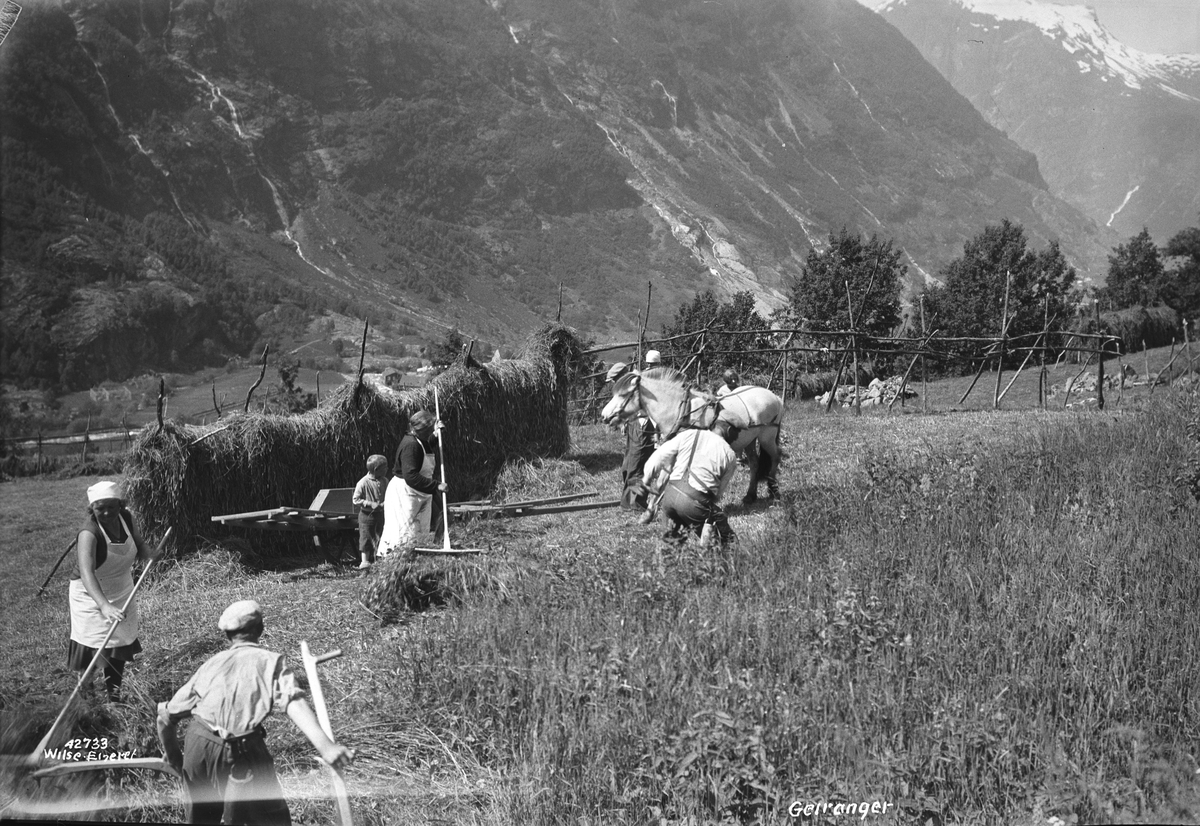 Anders Beer Wilse, Prot: Geiranger Høiing