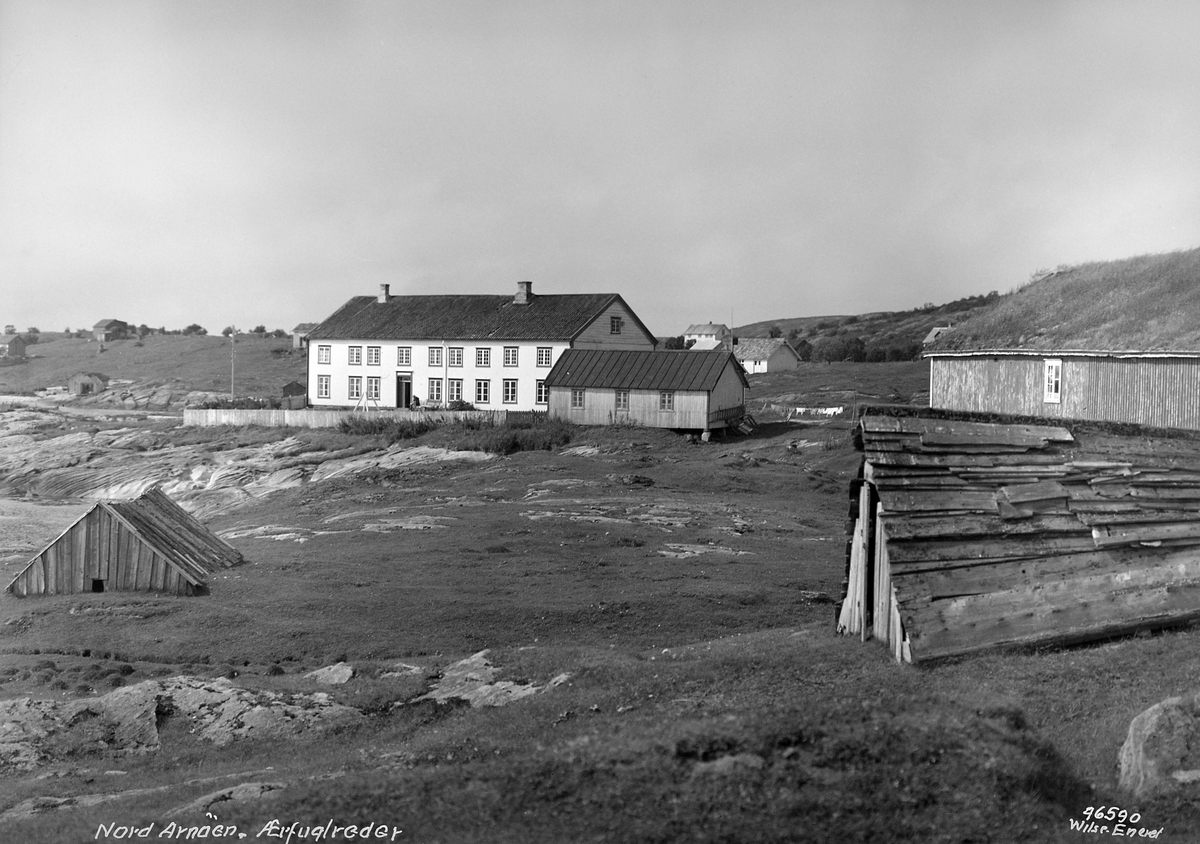 Anders Beer Wilse, Prot: Nord Arnøen hus for ærfugl