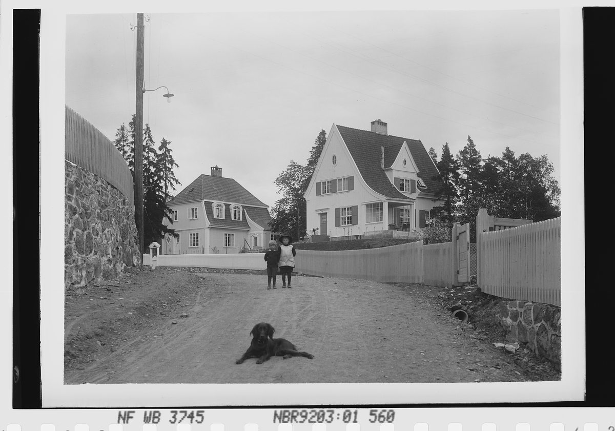 Anders Beer Wilse, Prot: Morgenstjerne Eide Vila Abediengen