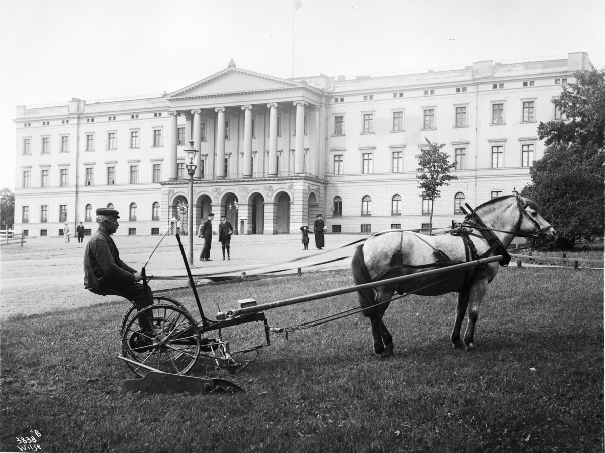 Anders Beer Wilse, Prot: Slaamaskin i Slotsparken for Øie