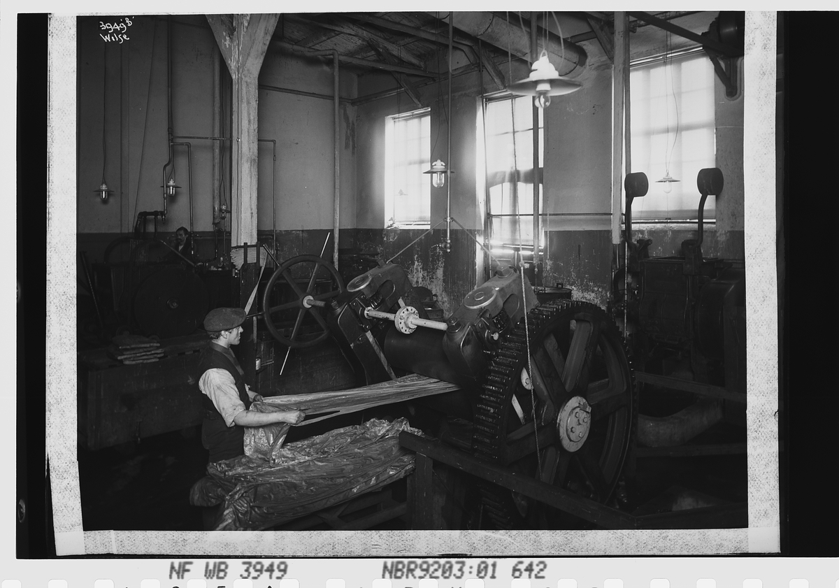 Anders Beer Wilse, Prot: Viking Remfabrik