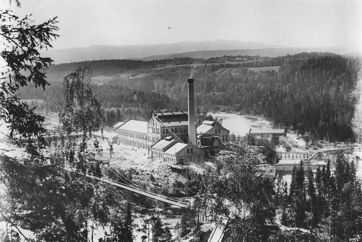 Anders Beer Wilse, Prot:Norske Papirfabriker Borregaard