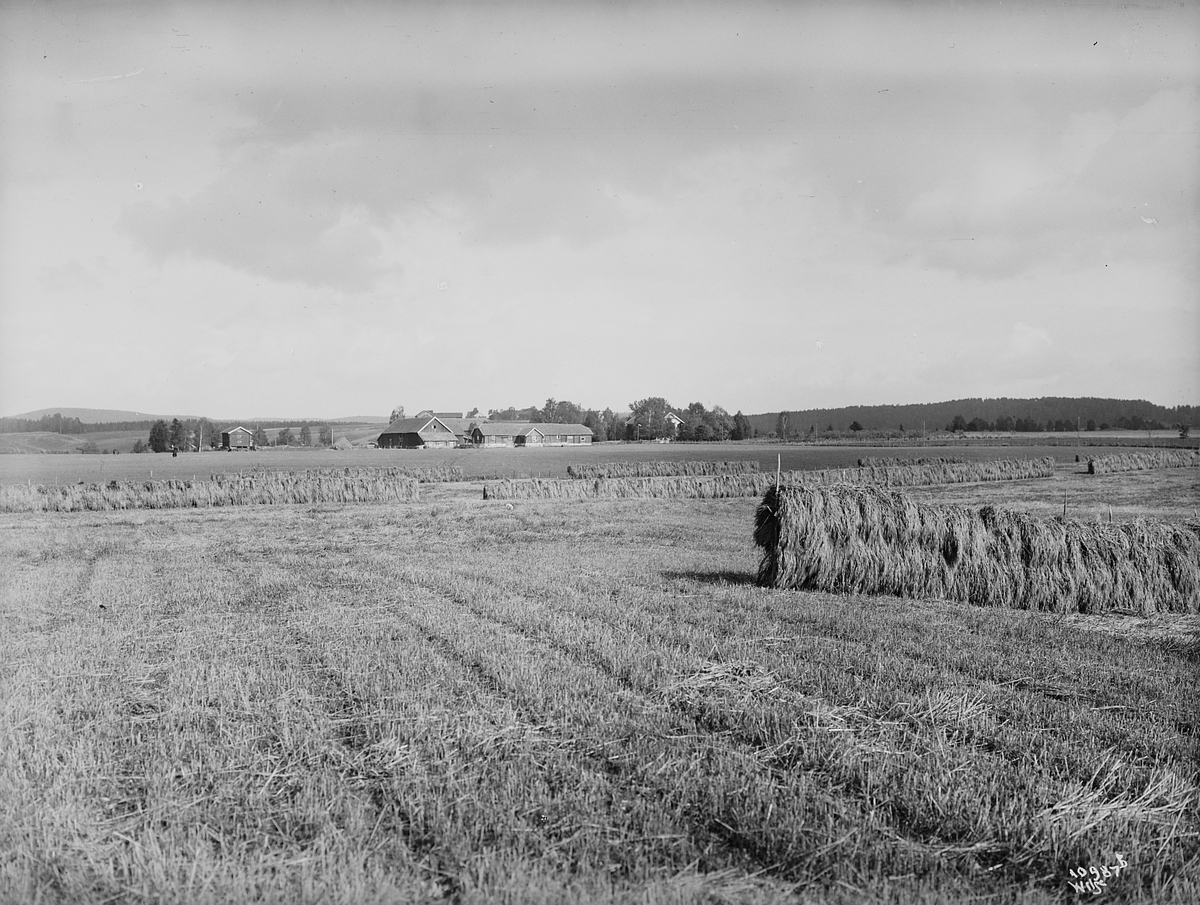 Anders Beer Wilse, Konv: Val gaard for Andersen Aars